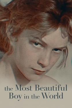The Most Beautiful Boy in the World free movies