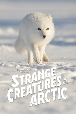 Strange Creatures of the Arctic free movies