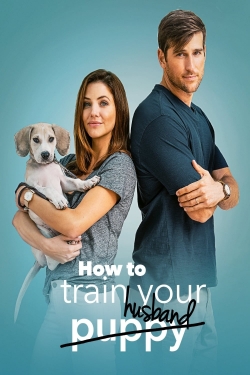 How to Train Your Husband free movies