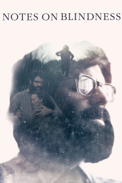 Notes on Blindness free movies