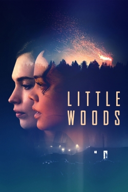 Little Woods free movies