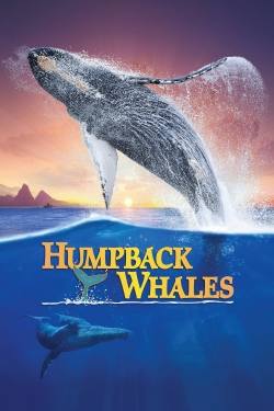 Humpback Whales free movies