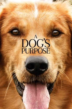 A Dog's Purpose free movies