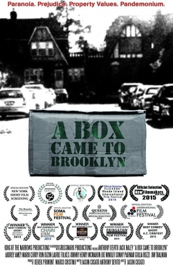 A Box Came to Brooklyn free movies