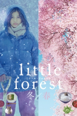 Little Forest: Winter/Spring free movies