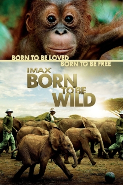 Born to Be Wild free movies