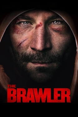 The Brawler free movies