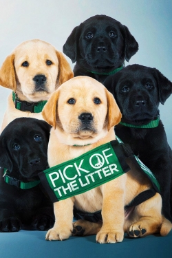 Pick of the Litter free movies
