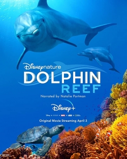 Dolphin Reef free movies