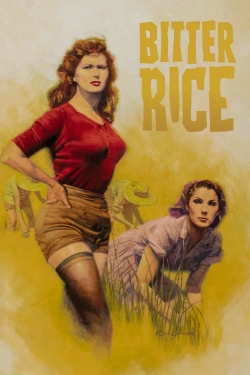 Bitter Rice free movies
