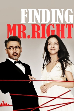 Finding Mr. Right free movies
