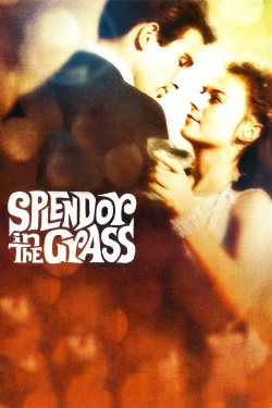 Splendor in the Grass free movies