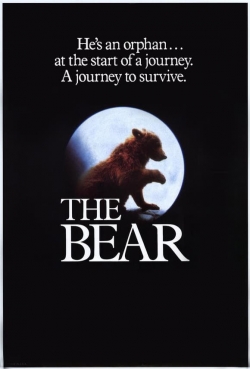 The Bear free movies