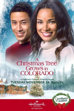 A Christmas Tree Grows in Colorado free movies