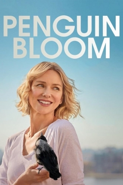 Penguin Bloom free movies