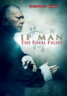 Ip Man: The Final Fight (Dubbed) free movies