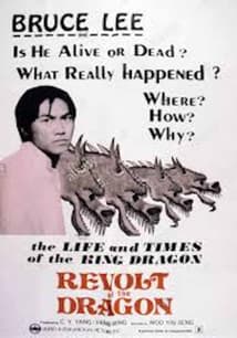 Revolt of the Dragon free movies