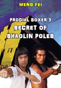 Prodigal Boxer 3: Secret of the Shaolin Poles free movies