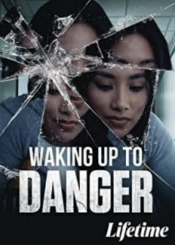 Waking Up To Danger free movies