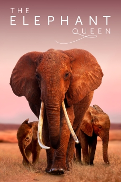 The Elephant Queen free movies