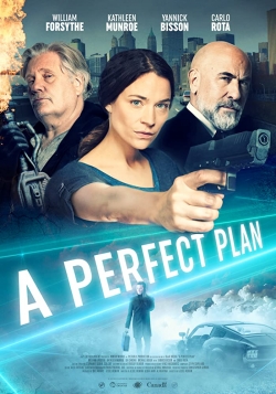 A Perfect Plan free movies