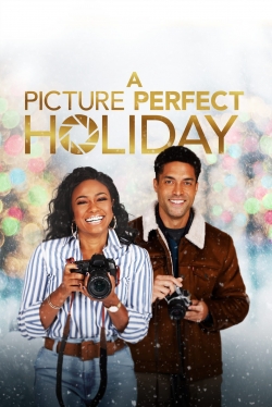 A Picture Perfect Holiday free movies