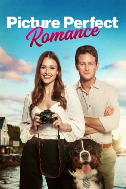 Picture Perfect Romance free movies
