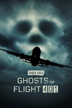 Ghosts of Flight 401 free movies