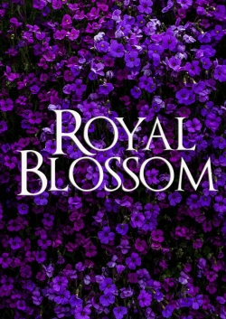 Royal Blossom free movies