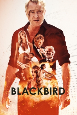 Blackbird free movies