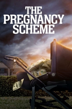 The Pregnancy Scheme free movies