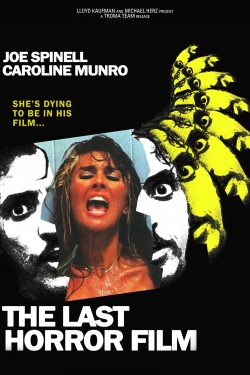 The Last Horror Film free movies