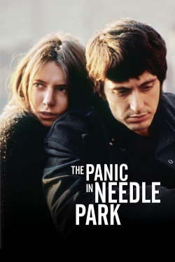 The Panic in Needle Park free movies