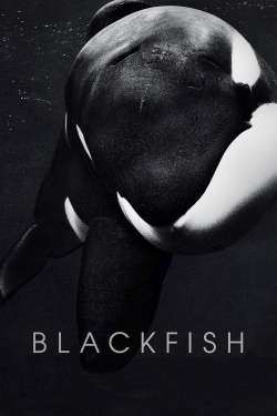 Blackfish free movies