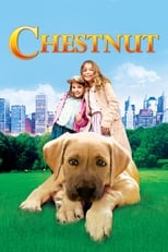 Chestnut: El héroe de Central Park free movies