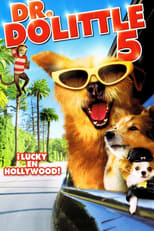 Dr. Dolittle 5: El perro del millón de dólares free movies