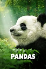 Pandas: El Camino a Casa