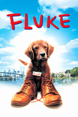 Mi amigo Fluke free movies