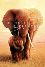 Reina de elefantes free movies
