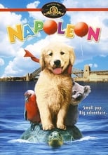 Napoleón, el perrito aventurero free movies