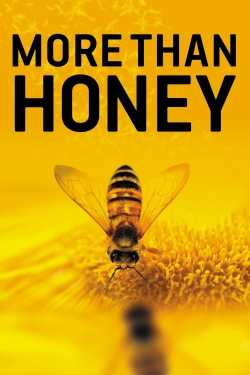 More Than Honey free movies