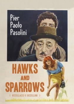 Hawks and Sparrows free movies