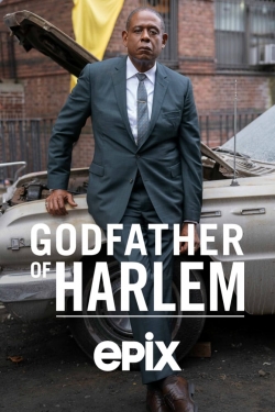 Godfather of Harlem free movies