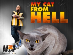 My Cat from Hell free movies