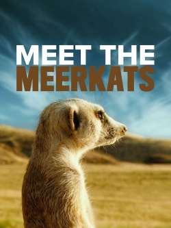 Meet The Meerkats free movies