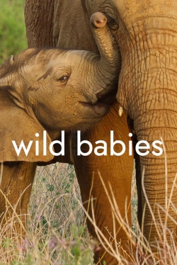 Wild Babies free Tv shows