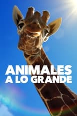 Animales a lo grande free Tv shows