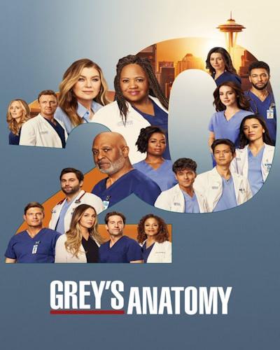 Grey's Anatomy free tv shows