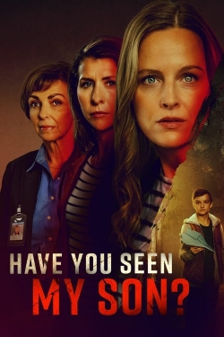 Have You Seen My Son? free movies