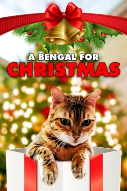 A Bengal for Christmas free movies